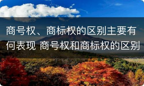 商号权、商标权的区别主要有何表现 商号权和商标权的区别