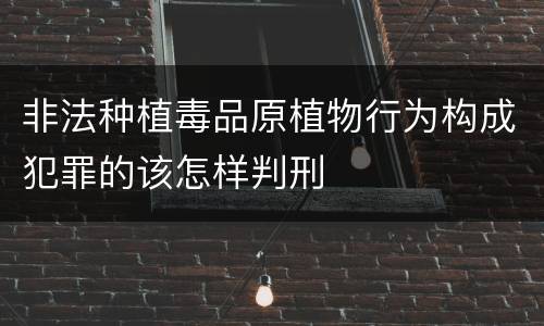 非法种植毒品原植物行为构成犯罪的该怎样判刑
