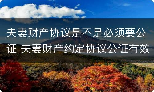 夫妻财产协议是不是必须要公证 夫妻财产约定协议公证有效吗