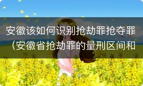 安徽该如何识别抢劫罪抢夺罪（安徽省抢劫罪的量刑区间和量刑情节）