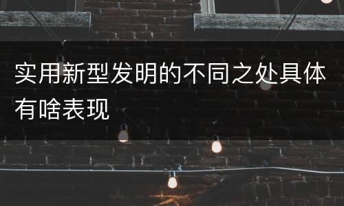 实用新型发明的不同之处具体有啥表现