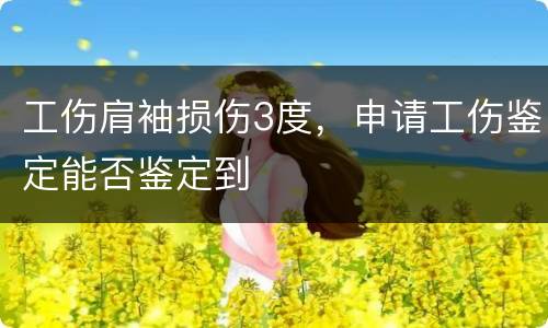 工伤肩袖损伤3度，申请工伤鉴定能否鉴定到