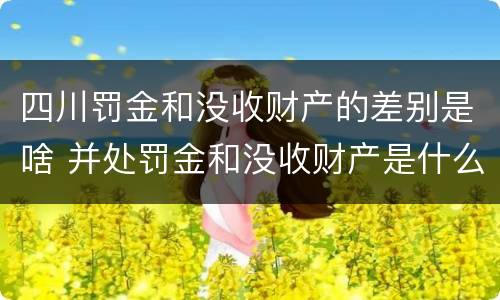 四川罚金和没收财产的差别是啥 并处罚金和没收财产是什么意思