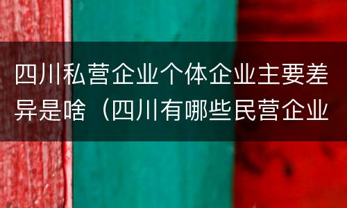 四川私营企业个体企业主要差异是啥（四川有哪些民营企业）