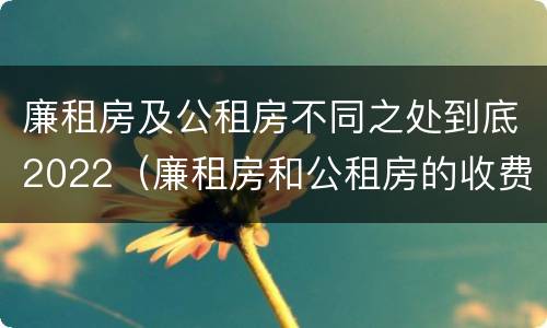 廉租房及公租房不同之处到底2022（廉租房和公租房的收费标准）
