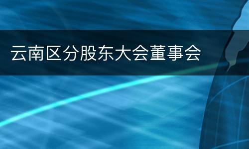 云南区分股东大会董事会