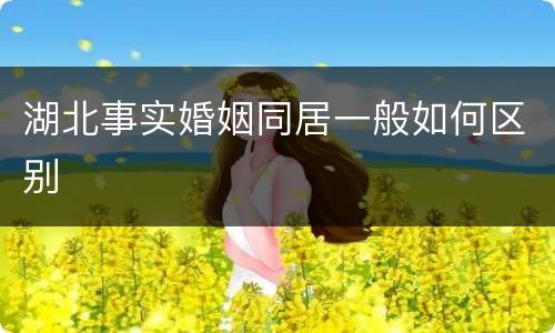 湖北事实婚姻同居一般如何区别
