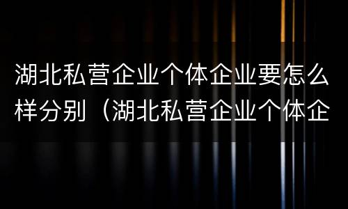 湖北私营企业个体企业要怎么样分别（湖北私营企业个体企业要怎么样分别交税）