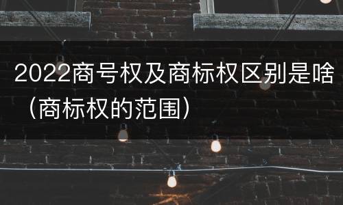2022商号权及商标权区别是啥（商标权的范围）