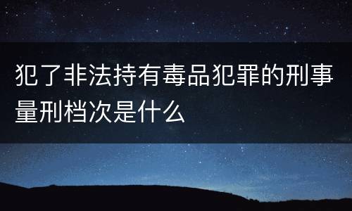 犯了非法持有毒品犯罪的刑事量刑档次是什么