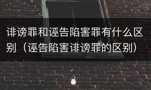 诽谤罪和诬告陷害罪有什么区别（诬告陷害诽谤罪的区别）