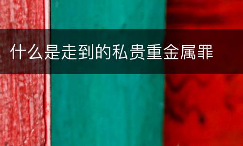 什么是走到的私贵重金属罪