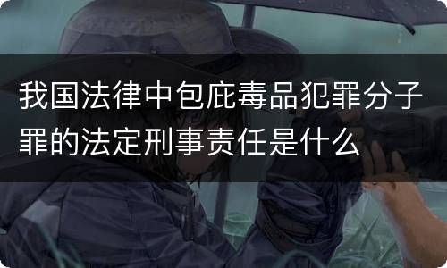 我国法律中包庇毒品犯罪分子罪的法定刑事责任是什么