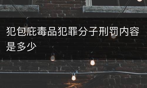 犯包庇毒品犯罪分子刑罚内容是多少