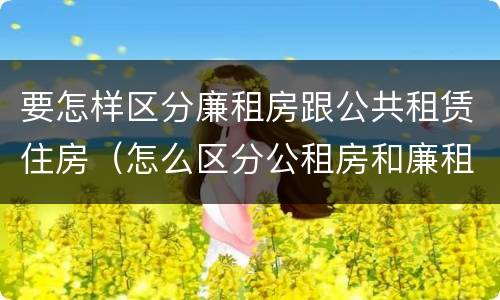 要怎样区分廉租房跟公共租赁住房（怎么区分公租房和廉租房）