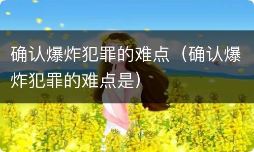 确认爆炸犯罪的难点（确认爆炸犯罪的难点是）