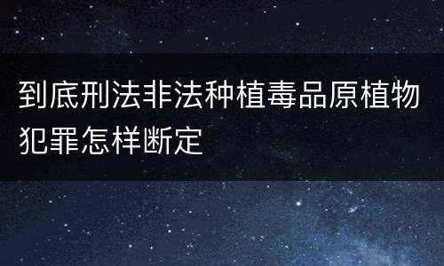 到底刑法非法种植毒品原植物犯罪怎样断定