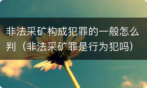 非法采矿构成犯罪的一般怎么判（非法采矿罪是行为犯吗）