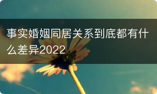事实婚姻同居关系到底都有什么差异2022