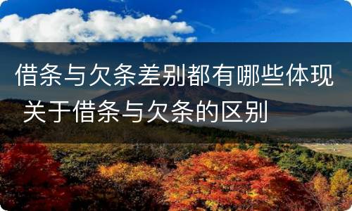 借条与欠条差别都有哪些体现 关于借条与欠条的区别