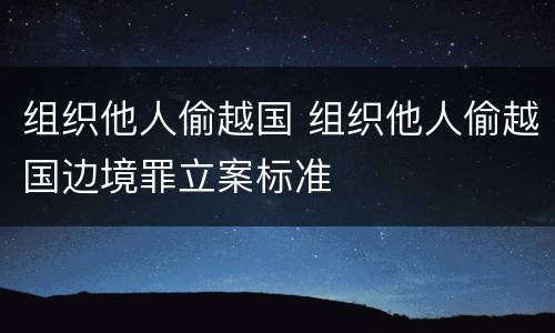 组织他人偷越国 组织他人偷越国边境罪立案标准