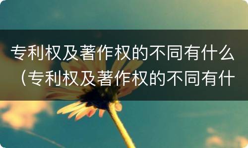 专利权及著作权的不同有什么（专利权及著作权的不同有什么不同之处）