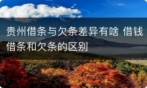 贵州借条与欠条差异有啥 借钱借条和欠条的区别