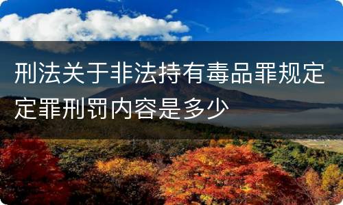 刑法关于非法持有毒品罪规定定罪刑罚内容是多少