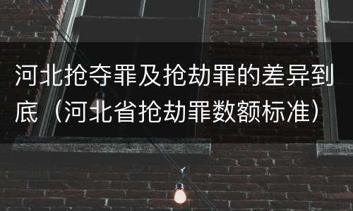河北抢夺罪及抢劫罪的差异到底（河北省抢劫罪数额标准）