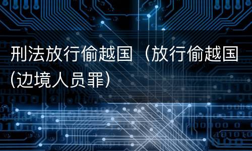 刑法放行偷越国（放行偷越国(边境人员罪）
