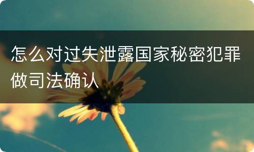怎么对过失泄露国家秘密犯罪做司法确认