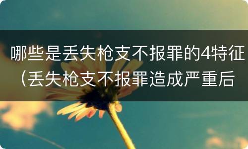 哪些是丢失枪支不报罪的4特征（丢失枪支不报罪造成严重后果）