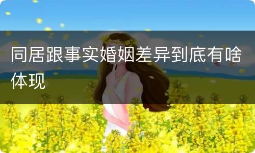 同居跟事实婚姻差异到底有啥体现