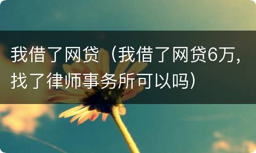 我借了网贷（我借了网贷6万,找了律师事务所可以吗）