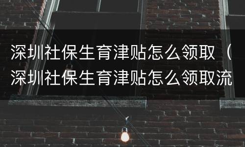 深圳社保生育津贴怎么领取（深圳社保生育津贴怎么领取流程）
