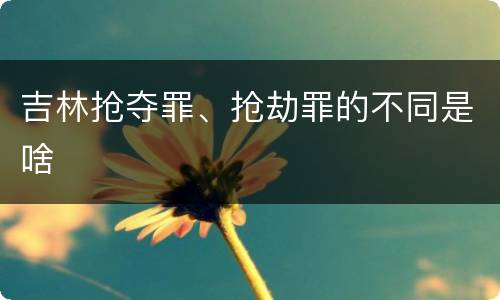 吉林抢夺罪、抢劫罪的不同是啥