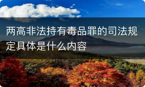 两高非法持有毒品罪的司法规定具体是什么内容