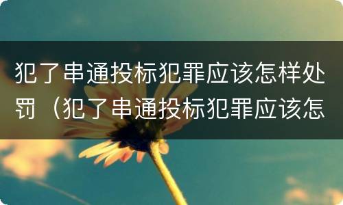 犯了串通投标犯罪应该怎样处罚（犯了串通投标犯罪应该怎样处罚呢）