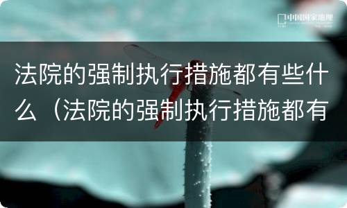法院的强制执行措施都有些什么（法院的强制执行措施都有些什么手续）