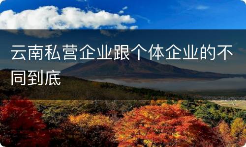 云南私营企业跟个体企业的不同到底