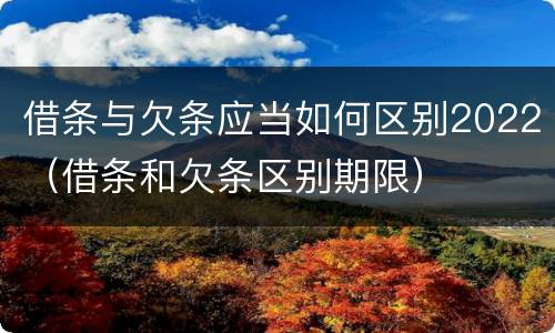 借条与欠条应当如何区别2022（借条和欠条区别期限）