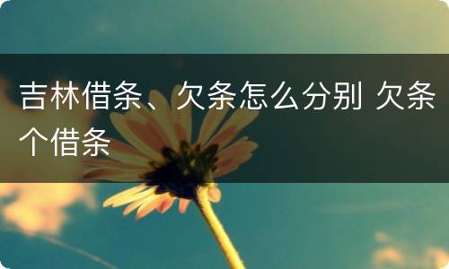 吉林借条、欠条怎么分别 欠条个借条