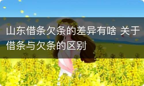 山东借条欠条的差异有啥 关于借条与欠条的区别