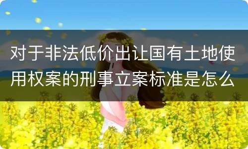 对于非法低价出让国有土地使用权案的刑事立案标准是怎么规定
