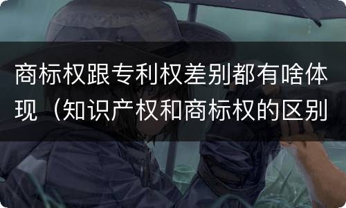 商标权跟专利权差别都有啥体现（知识产权和商标权的区别）