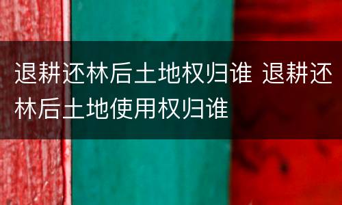 退耕还林后土地权归谁 退耕还林后土地使用权归谁