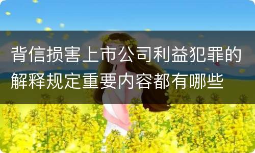 背信损害上市公司利益犯罪的解释规定重要内容都有哪些
