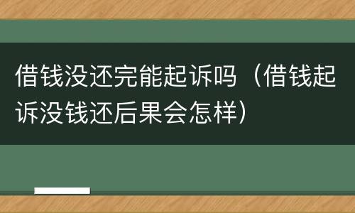 借钱没还完能起诉吗（借钱起诉没钱还后果会怎样）