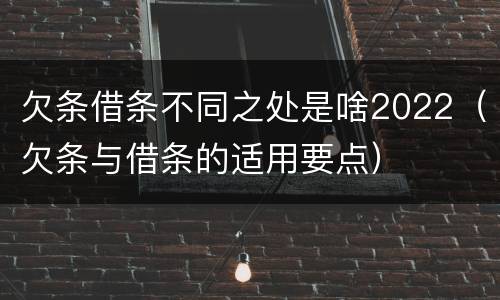 欠条借条不同之处是啥2022（欠条与借条的适用要点）