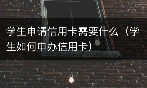 学生申请信用卡需要什么（学生如何申办信用卡）